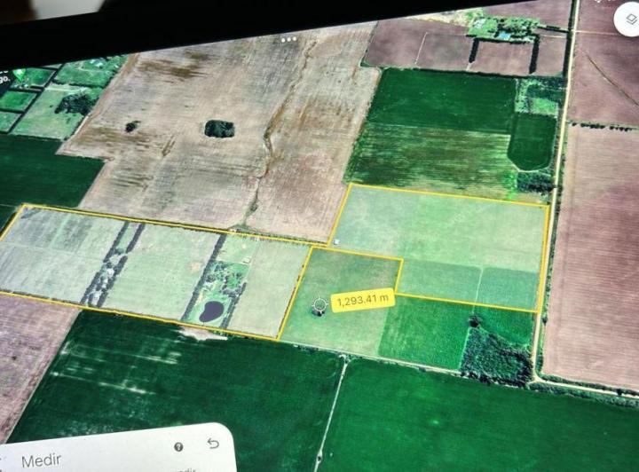 Campo · 50ha