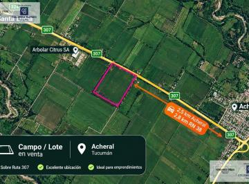 Campo · 30000m² · Finca de 30 Hectáreas de Caña Sobre Ruta, Cercana a Ingenios