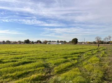 Terreno , Florencio Varela · Terrenos de 300 m² en Venta en Villa Vatteone - Fcio. Varela