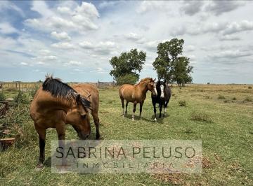 Terreno · 178ha · 4 Ambientes · Campo en Cañuelas 178ha