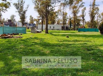 Terreno · 411m² · Venta Terreno Alvarez del Bosque