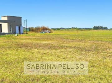 Terreno · 1000m² · Venta Terreno Tres Pinos 3 Pinos
