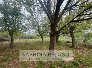 Terreno · 4120m² · Terreno Venta Moreno