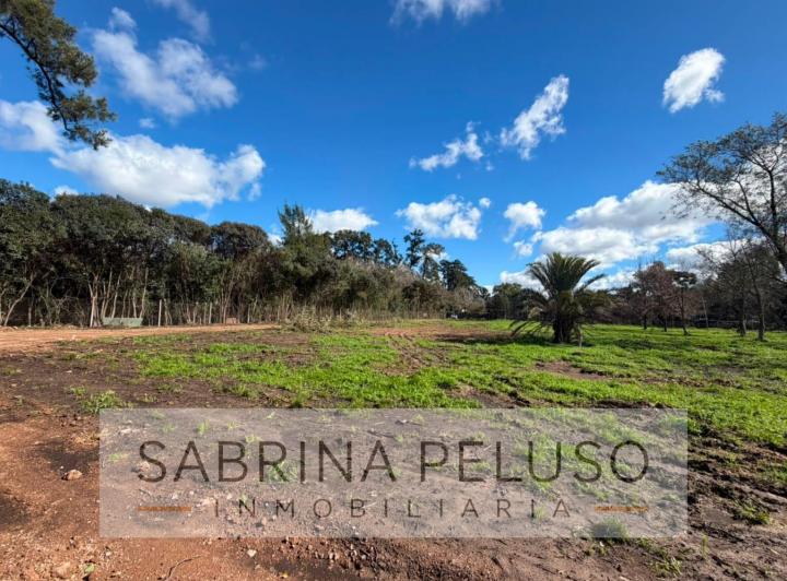 Terreno · 650m²