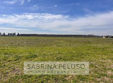 Terreno · 1072m² · Venta Terreno General Rodriguez
