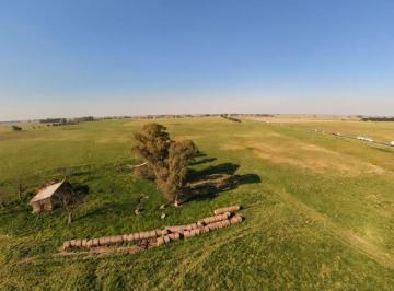 Campo , Cañuelas · Campo en Venta de 75 m² Ubicado en Cañuelas