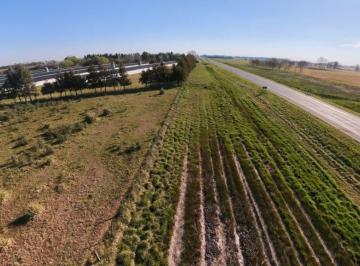 Campo , Cañuelas · Campo en Venta de 4.25ha Ubicado en Campos de Cañuelas