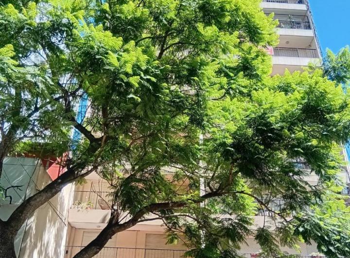 Departamento · 60m² · 2 Ambientes · 1 Cochera