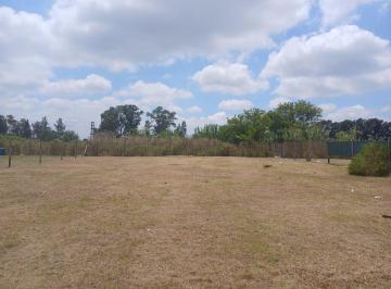 Terreno · 800m² · Terreno - 38 y Ruta 36