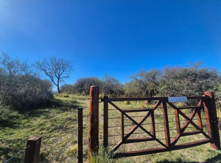 Terreno · 9383m²