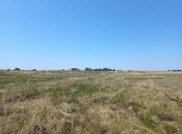 Campo · 76ha · Campo en Venta - 76 Hectáreas - San Nicolás de Los Arroyos