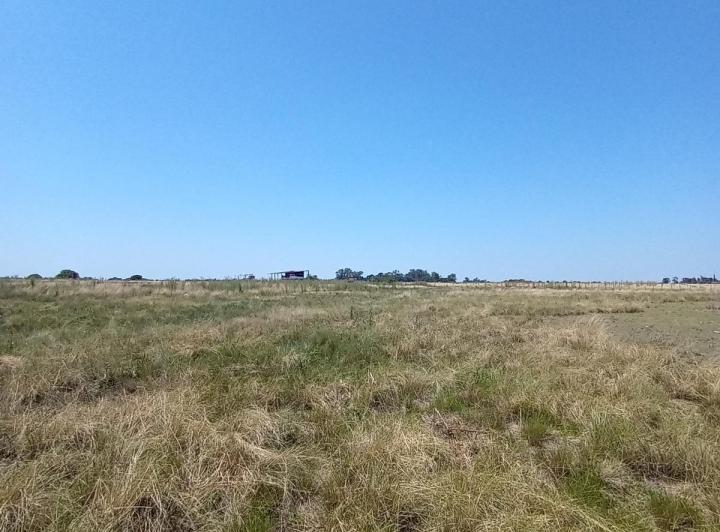 Campo · 76ha