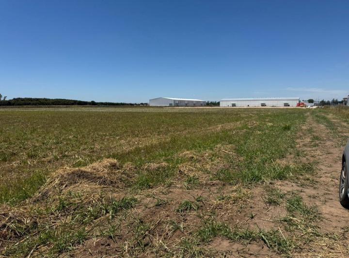 Terreno · 22000m²