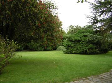 Terreno , San Isidro · Lote Venta Lomas de San Isidro
