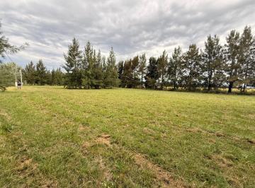 Terreno · 1003m² · Terreno en Coronel Brandsen