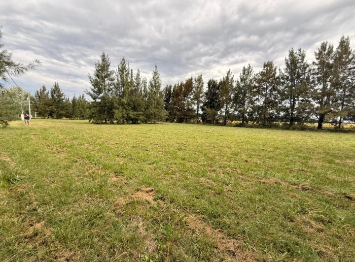 Terreno · 1003m²