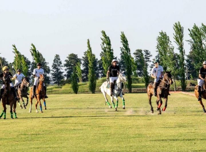 Terreno · 1000m²