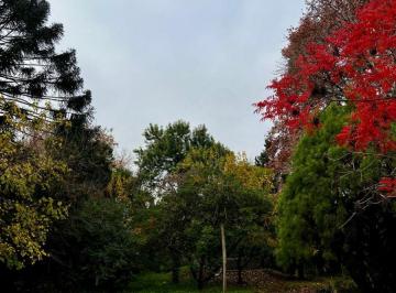 Terreno , San Isidro · Excelente Lote Arbolado en La Horqueta