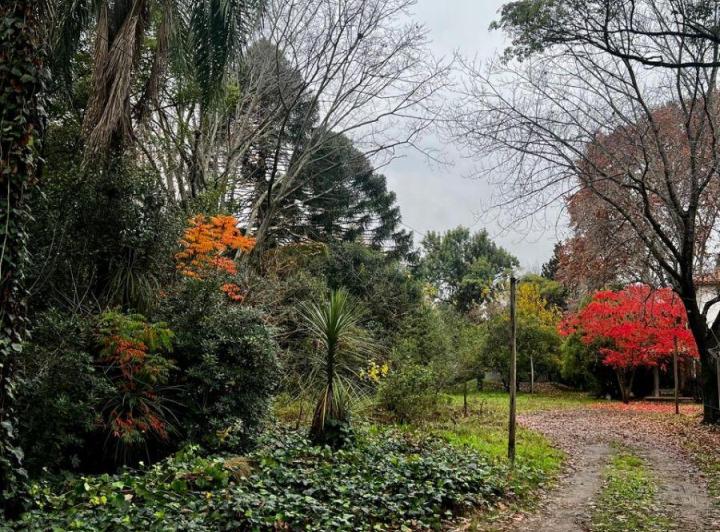 Terreno · 4630m²
