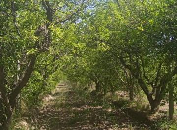 Campo · 80m² · 3 Ambientes · 2 Cocheras · Finca 10 Ha Rama Caida