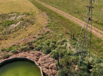 Campo , Saladillo · Campo en Venta de 298ha Ubicado en Álvarez de Toledo