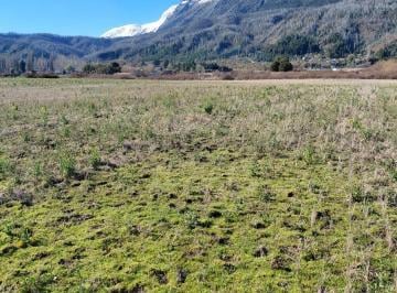 Campo · 350000000ha · Chacra en El Hoyo