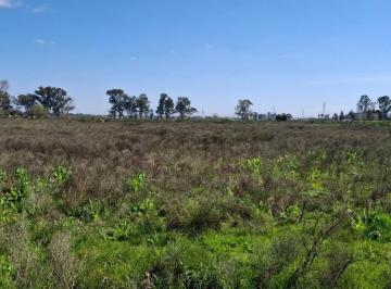Terreno · 1594m² · Lote en Venta en Alejandro Korn