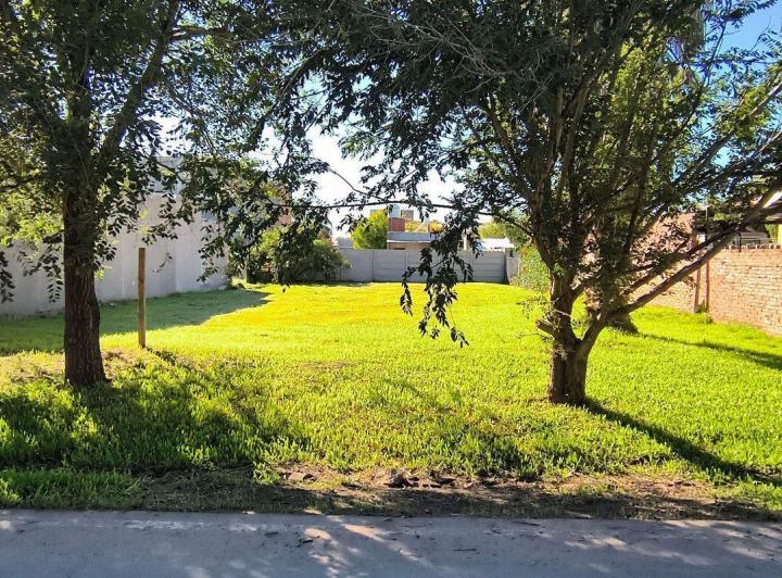Terreno · 520m²
