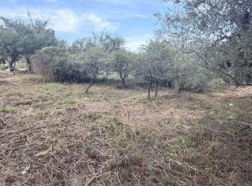 Terreno · 1000m² · Vendo Lote Esquina 1000 Mtrs - Villa P. Siquiman