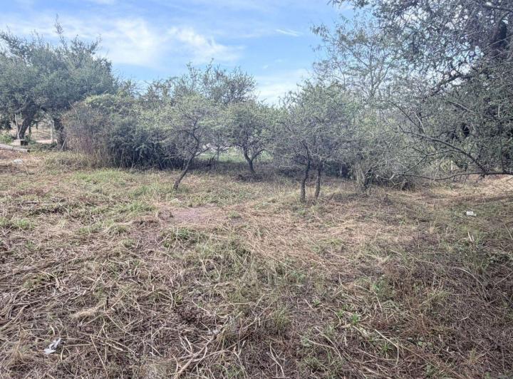 Terreno · 1000m²
