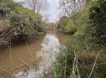Campo · 19ha · Venta Campo 18.970 Has Sobre Arroyo. Costa Azul