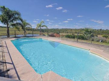 Campo · 390ha · Venta de Chacra, Casas y Campos en Las Brujas