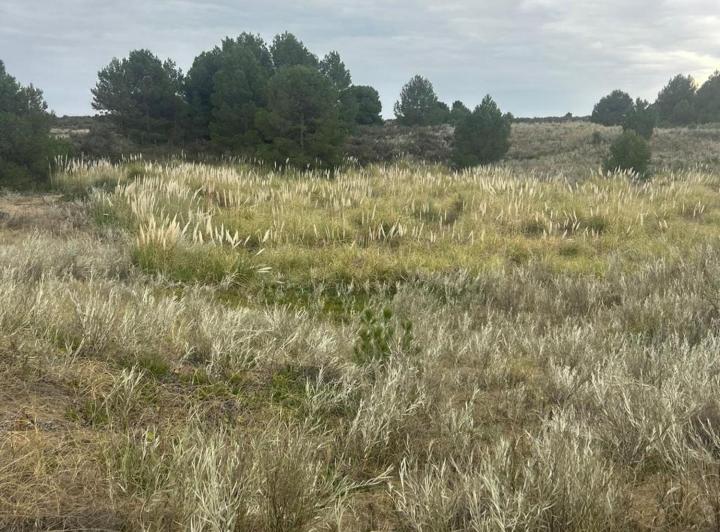 Terreno · 328m²