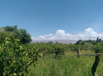 Terreno · 428m² · Se Vende Terreno en Fiambala