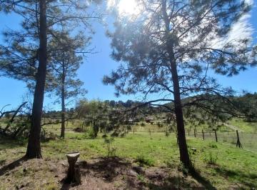 Terreno · 1319m² · Venta Lote Terreno V Ciudad de America Oportunidad