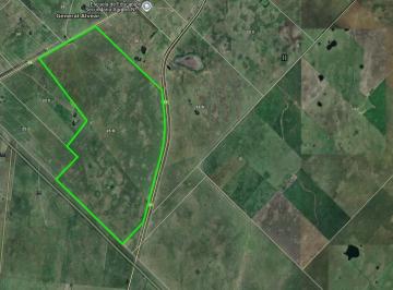 Campo · 800ha · Campo en General Alvear
