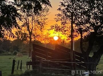 CONSULTAR PRECIO · :nta. Campo Zona Polo 34 Ha a 800 m de La Ruta 28. Pilar