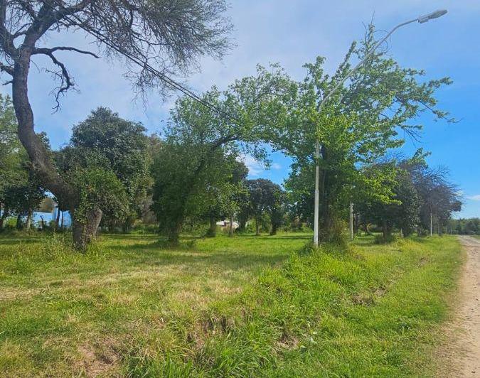 Terreno · 350m²
