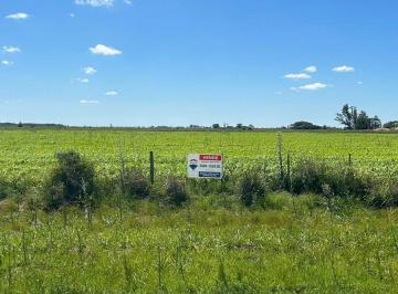 Terreno · 10000m² · 1 Ha Ruta 06 San Carlos Sur, Santa Fe