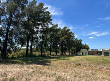 Terreno · 1280m² · Venta Lote en Tres Pinos, Gral Rodriguez