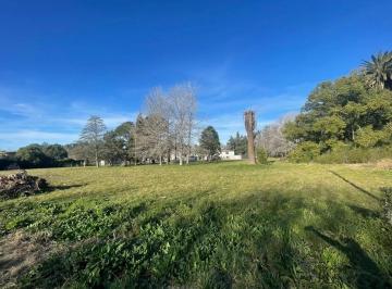 Campo · 40000m² · Campo en La Plata, 4 Has Frutiorticolas