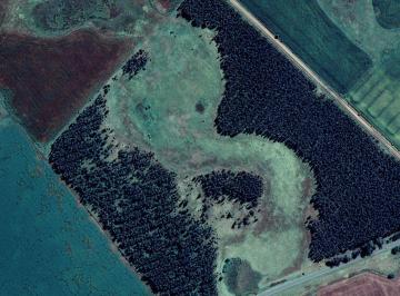 Campo · 47ha · Campo en Ruta 88 Km 62