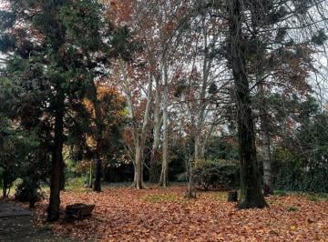Terreno , San Isidro · Excelente Lote en Pulmon de Manzana!