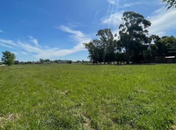 Terreno , La Plata · Terreno en Venta - Lote 430 m - Los Hornos