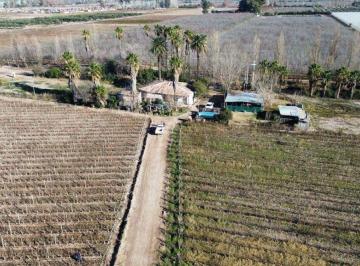 Campo , Rodeo del Medio · Finca 7ha en Venta - D° Riego y Pozo - Maipú