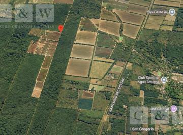 Terreno · 3160ha · Rosario de La Frontera, El Bordo | Campo en Venta | El Bodo, Salta