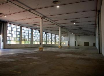 Depósito · 1290m² · Alquiler Depósito 1.290 m² en Predio de Villa Ballester