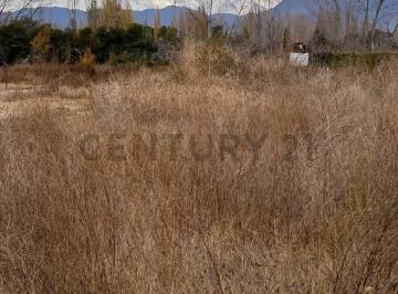 Terreno · 1000m² · Lote de 1.000 m² en Vistalba, Luján de Cuyo