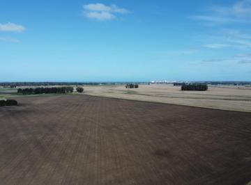 Campo · 537ha · Campo en Venta - 537 Hectáreas - General Alvarado