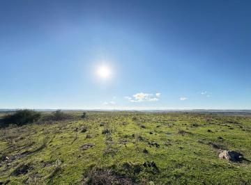 Campo · 243ha · Venta Campo Tacuarembó 243 Ha